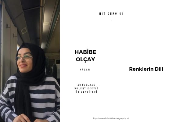 Renklerin Dili